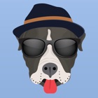 Top 39 Entertainment Apps Like PitMojis - Pit Bull Emoji & Stickers - Best Alternatives