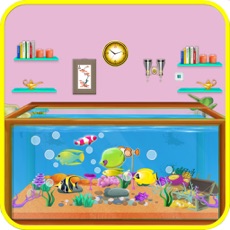 Activities of Fish Aquarium - Sea Animal Tank Care