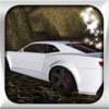 Muscle Car Simulator