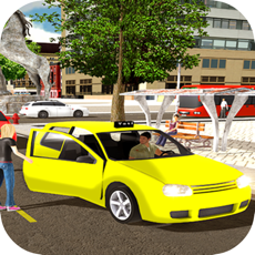 Activities of Crazy Driver Taxi Ambulance