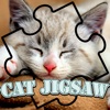 cat magic jigsaw puzzles