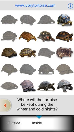 MyTurtle(圖2)-速報App