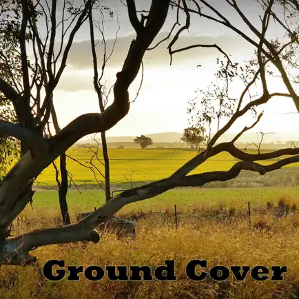 Ground Cover Читы