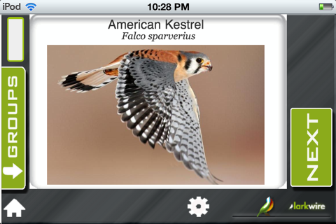 Learn Bird Watching—Larkwire screenshot 3
