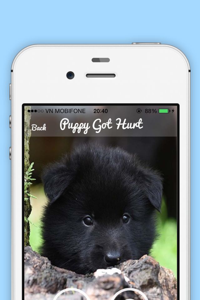 Dog Sounds - Breed, Attention screenshot 3