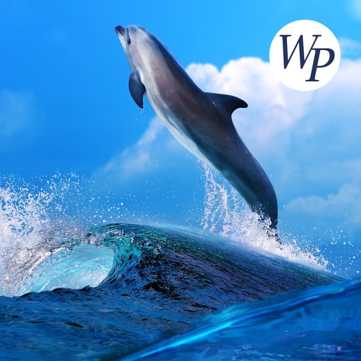 Ocean - Sea World HD Wallpapers / Backgrounds Free icon