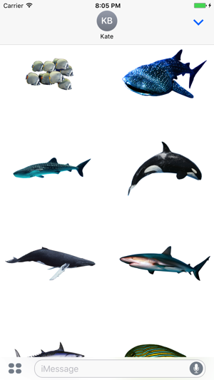 Fish School Stickers(圖2)-速報App