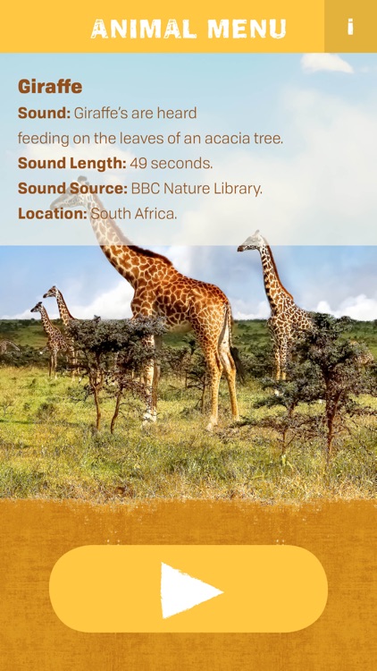 Nature Sounds Africa - Mobile Edition screenshot-4