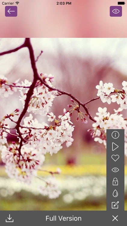 Spring Wallpaper - Nature Wallpapers & Backgrounds