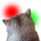 The red and the green target which moves about are touched with the feeling of a cat