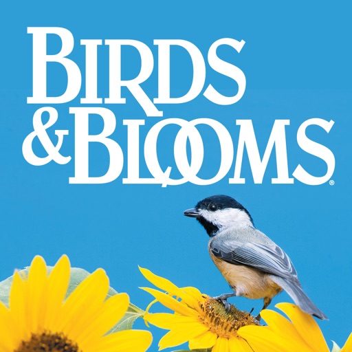 Birds & Blooms