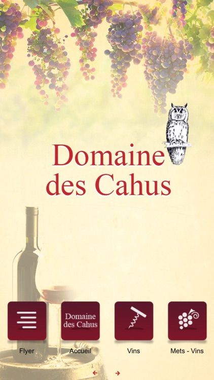 Domaine des Cahus