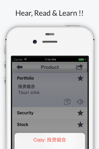Financial Chinese Pro - Phrases & Vocabulary screenshot 4
