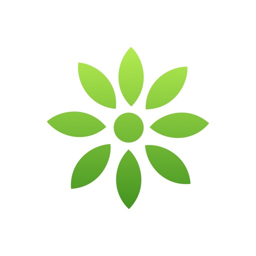 Flower. icon