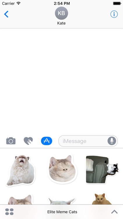 Elite Cats