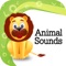 Animal sounds is an educational game for kids, which entertain them and help in recognising animal sounds