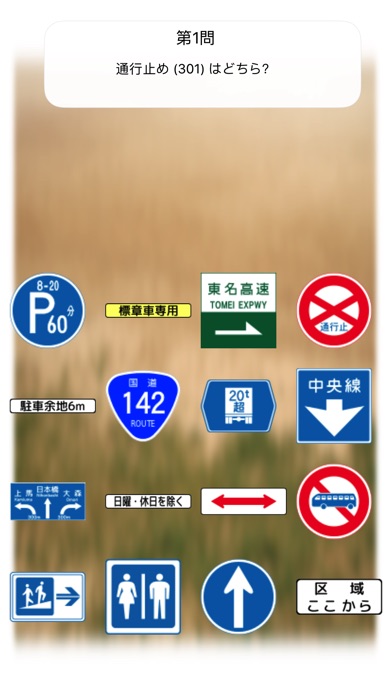 Road Sign Master in J... screenshot1