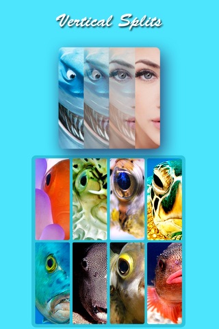 Shark Eyes Pro- Easy photo morphing blender screenshot 3