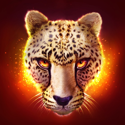 The Cheetah: Online RPG Simulator