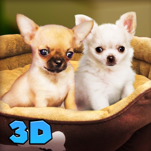Chihuahua Dog Survival Simulator 3D