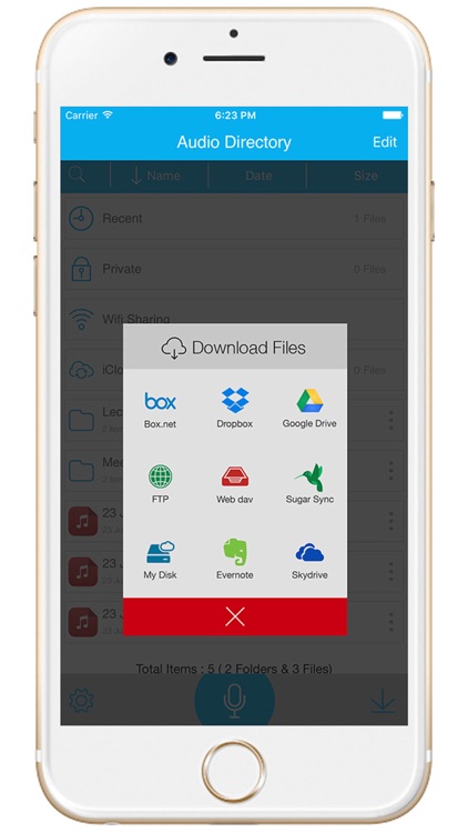 Audio Recorder Pro : Professional Voice Recorder screenshot-4