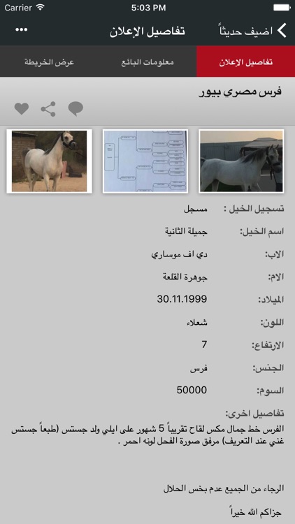 الحصان العربي screenshot-3