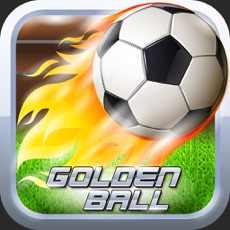 Activities of Goldenball Soccer