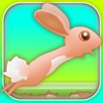 Conejo Run