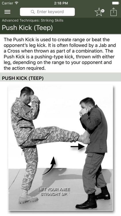 Hand-to-Hand Combat
