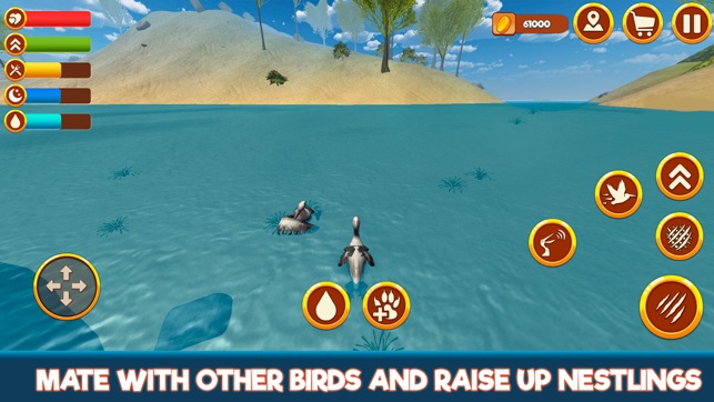 Pelican Simulator 3D: Bird Life(圖2)-速報App