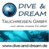 Dive & Dream