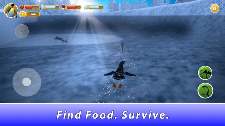 Penguin Family Simulator