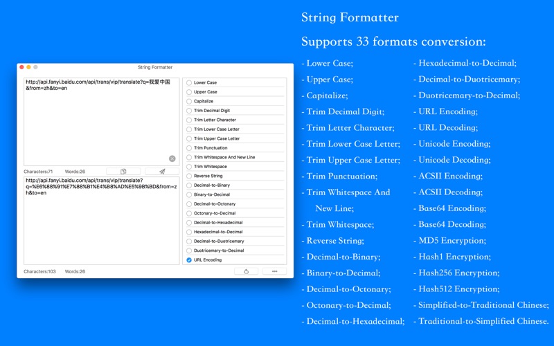 String Formatter - Supports 33 formats conversion thumbnail 3