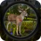 As an ex-army sniper, now plan and execute your hunting skills in wild and become a professional deer hunter to get highest number of Deer in the limited time