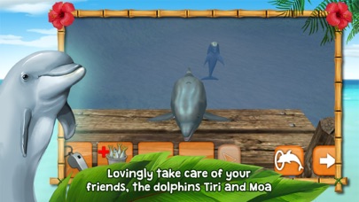 Dolphins of the Caribbean - Adventure of the Pirate's Treasure Screenshot 4