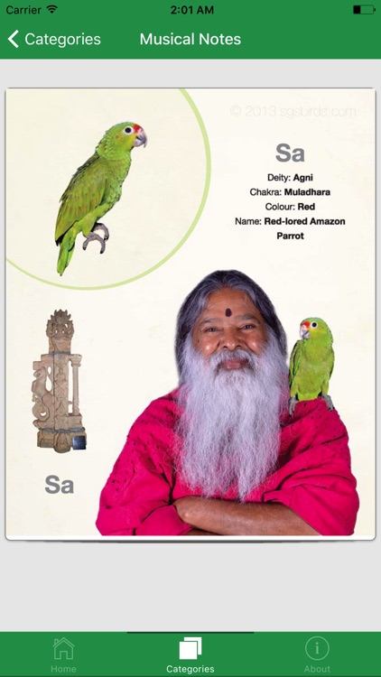 SGS Birds - Shukavana