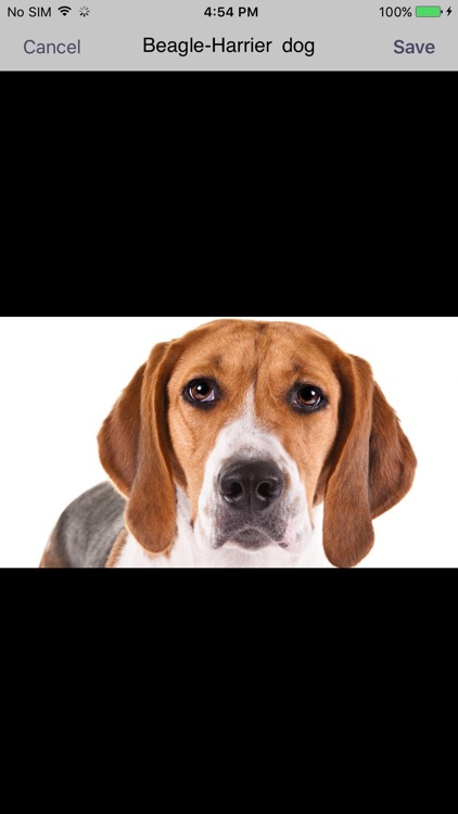 Dog & Cat Breed Finder screenshot-3