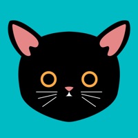 Fast Cat VPN-reliable and stable advanced vpn proxy