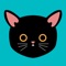 Fast Cat is the world's most trusted security, privacy and access application
