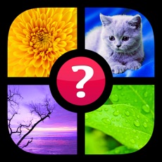 Activities of Guess the Word! ~ Photo Quiz with Pics and Words