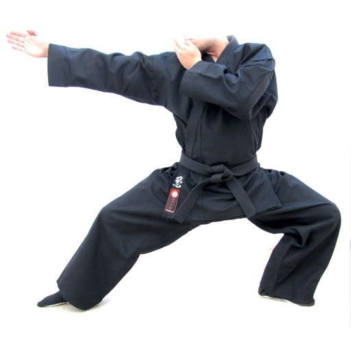 Ninjutsu Master Class