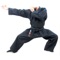 Take a master class in the popular martial art NINJUTSU with this superb collection of more than 550 training videos