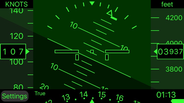iBFD (integrated Backup Flight Display)
