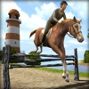 Real Horse Speed Riding Simulator