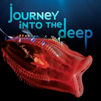 Journey Into the Deep apk
