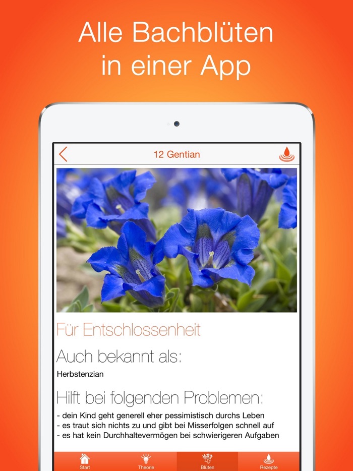 Bachblüten für Kinder PRO