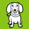 Kaunila app enables you to track your dogs activity all day and night