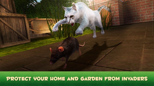 Hunting Cat Survival Simulator 3D(圖3)-速報App