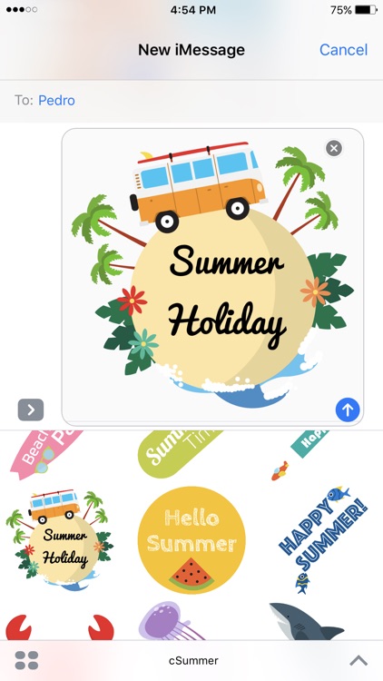 cSummer
