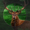 Forest Wild Deer Hunting - Adventure Sniper Guns
